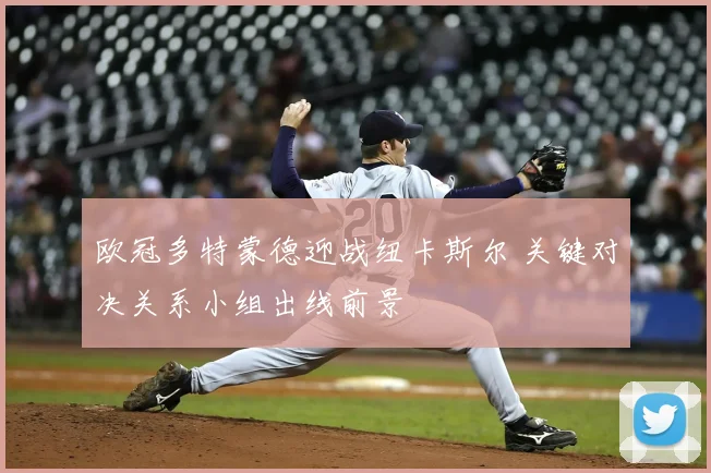 欧冠多特蒙德迎战纽卡斯尔 关键对决关系小组出线前景