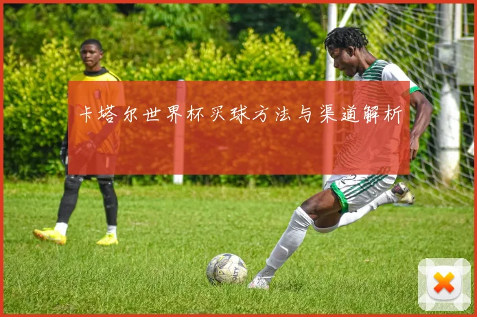 卡塔尔世界杯买球方法与渠道解析