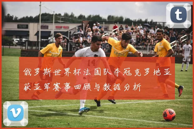 俄罗斯世界杯法国队夺冠克罗地亚获亚军赛事回顾与数据分析