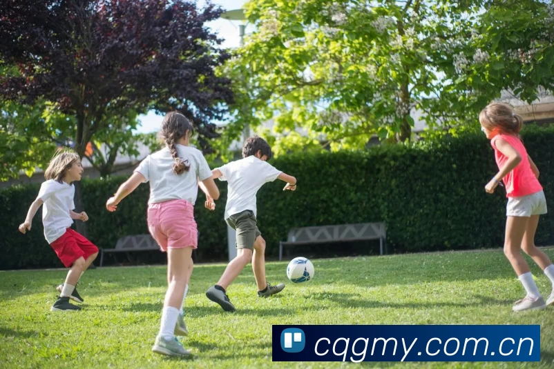 半岛平台在线登入 - 半岛(中国)平台生态图